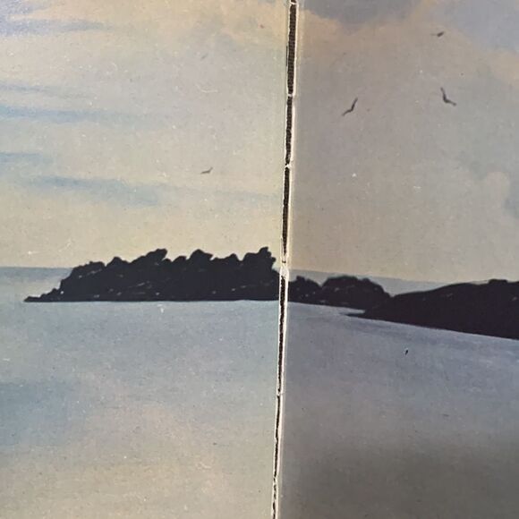 Vintage The World of Salvador Dali by Robert Descharnes 1962 ATIDE Art Book - Picture 10 of 17